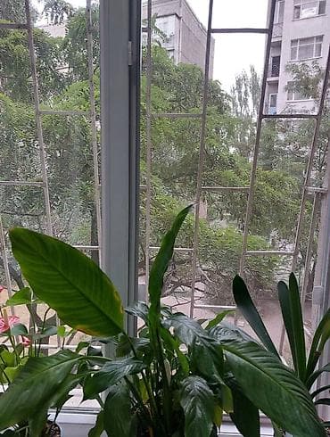 в районе политех: 3 комнаты, 35 м², Политех 104 серия, 1 этаж, Дизайнерский ремонт — 9