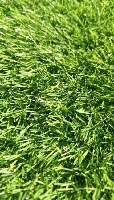 цена искусственного газона для футбольного поля: Газон искусственный, искусственная трава для футбольных полей и — 4