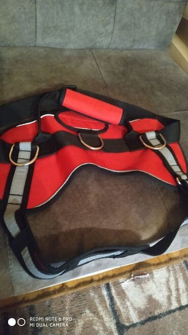 Продам новые шлейки одна биотан с адресником,вторая тоже очень at lalafo.kg Продам новые шлейки одна биотан с адресником,вторая тоже очень