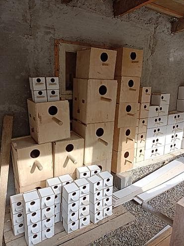 Үй жаныбарлары: Гнезда для птиц и попугаев — 3