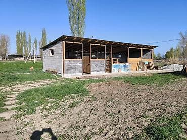 бишкек киргизия 1: Продаю участок с домом в с. Буденовка 20 соток 104м2+ хоз. постройки — 3