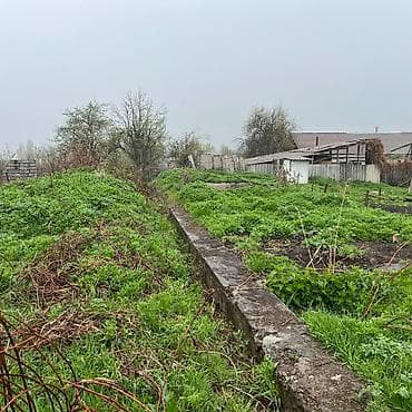 29: 14 соток, Для строительства, Договор купли-продажи, Красная книга — 3