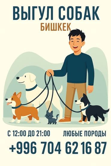 номер приюта для животных бишкек: Услуга: выгул собак Локация: Бишкек Время работы: с 12:00 до 21:00 — 1