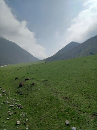 Малчы керек