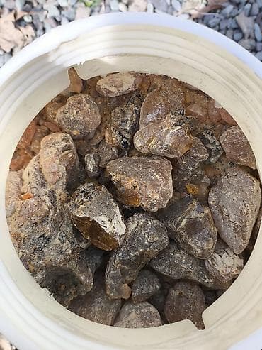 уй кой: Канифоль сосновая ( ещё Советская) — 2