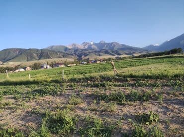 ищу участок: 18 соток — 2