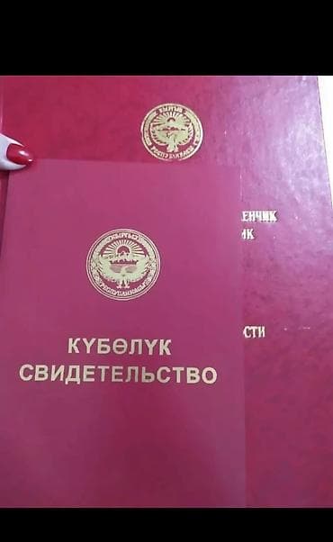 Для бизнеса, Красная книга