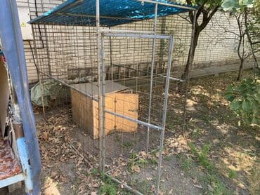 сатам алмашам: Продам вольер, срочно!! — 2