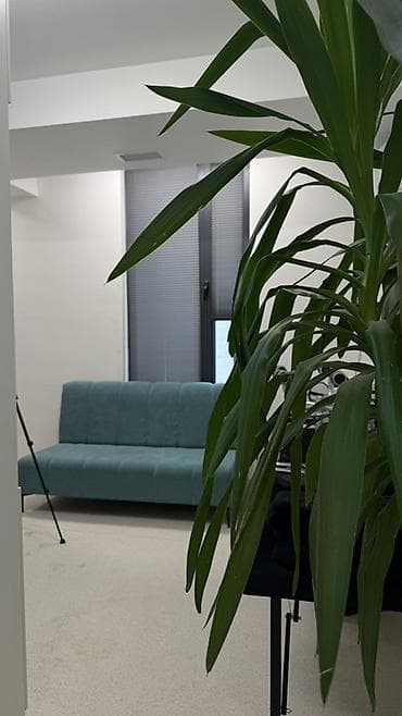 erl group: В новом здании Медсити Сдается Кабинет через день. 15 дней в месяц — 4