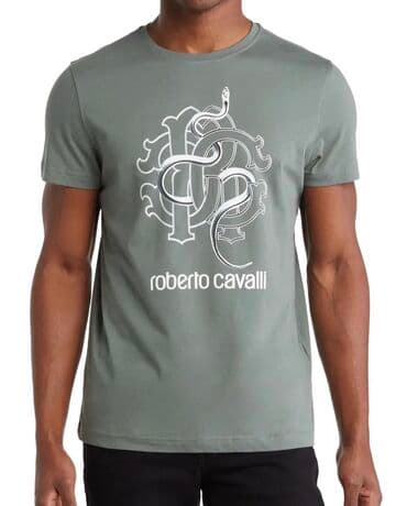 Футболкалар: Мужские футболки ROBERTO CAVALLI. 100% оригинала одежда с Америки — 2