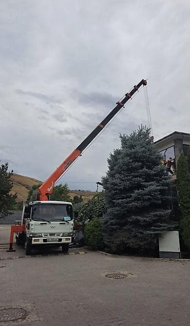 cs 55 plus: Стрела 23 м, 7 т, Борт 10 кг — 1