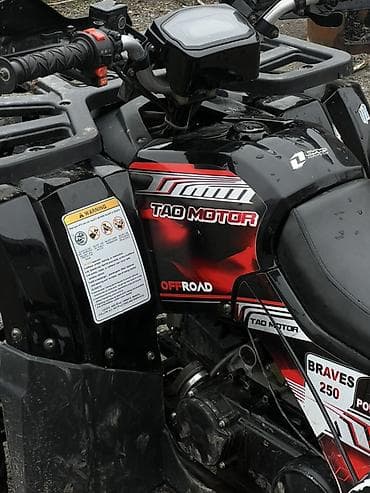 Мототехника: Квадроцикл Бензин, 250 куб. см — 6