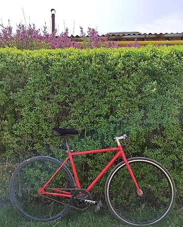 fixed gear: Продаю фикс Roadmaster Размер рамы М. Виллсет:заднее жойтеч обод — 1