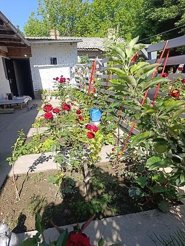 готовый домик под ключ: Дом барачного типа. Адрес: Сокулукский район совхоз Фрунзе. участок 2 — 6