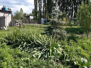 продаю дом в рассрочку бишкек: Дом, 100 м², 4 комнаты, Собственник, Косметический ремонт — 4