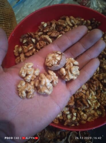 ЖАҢГАК АЛАБЫЗ. ОРЕХ ПОНИМАЮ. КЕЛИШИМ БААДА._+
Чалыңыздар 📱📱📱