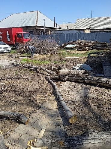 Услуги по валке и обрезке деревьев, расчистке участка - Спиливание