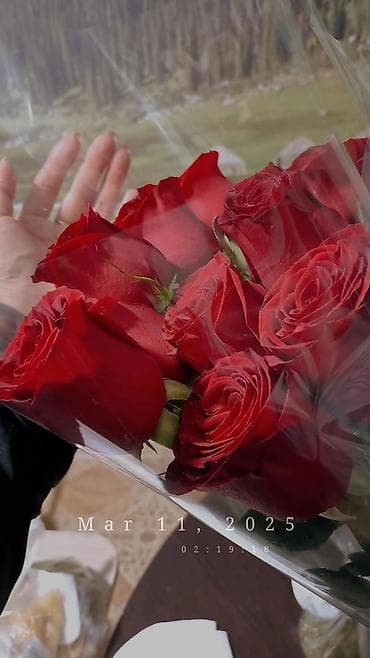 требуется авиакассир: Администратор. До 1 года опыта — 1