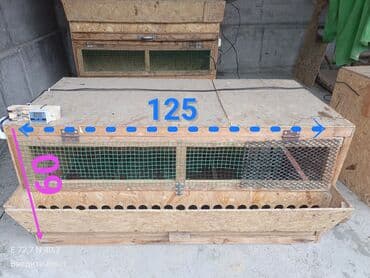 живые бабочки: Клетка/брудер для перепелов (многоярусная секция) - Материал: каркас — 1