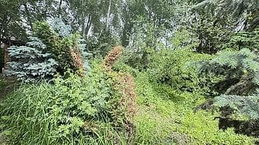 жумуш курулуш: 3 соток, Курулуш — 3