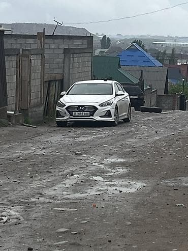 соната юрайс: Hyundai : 2019 г., 2 л, Автомат, Газ — 2