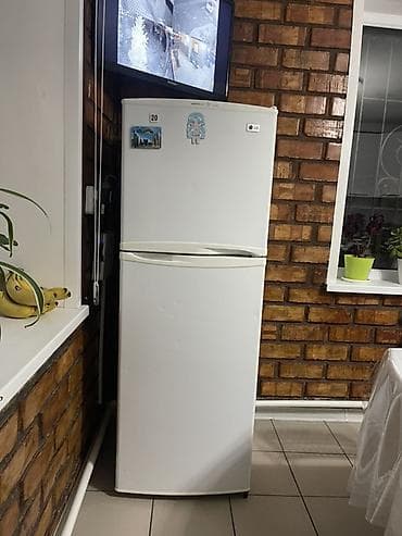 Холодильник LG, Двухкамерный
