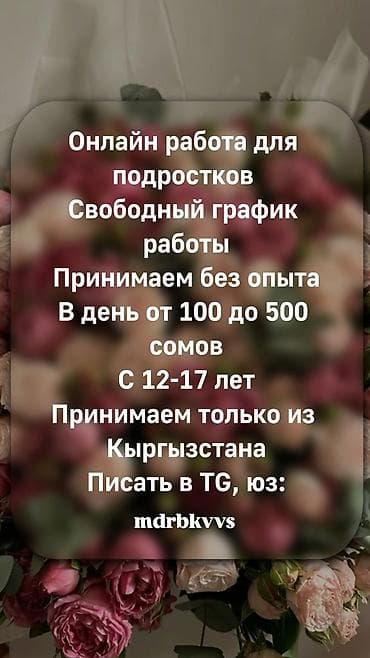 Онлайн‑подработка для подростков из Кыргызстана. - Свободный график