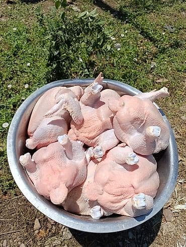 забыл: Продаю мясо куриц бройлера 💯 халал строго соблюдается по шари'ату — 1