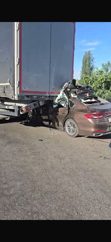 зимние шины размер 15: Hyundai Grandeur: 2019 г., 2.4 л, Автомат, Бензин — 1