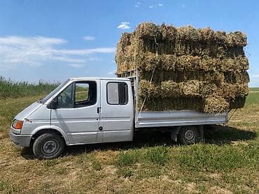 купить кролик: Продаю сено
Доставка договорная — 1