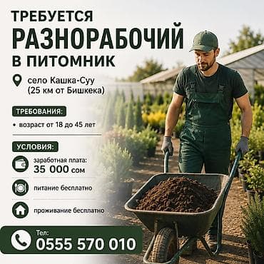 ТРЕБУЕТСЯ РАЗНОРАБОЧИЙ В ПИТОМНИК 📍 село Кашка-Суу (25 км от Бишкека) — 1