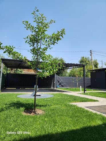 кара балта дом купить: Дом, 100 м², 3 комнаты, Собственник, Евроремонт — 6
