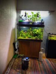 аквариумный фильтр: Продаётся заводской аквариум. Объем: 200 л Размеры : Длина 100 см — 15