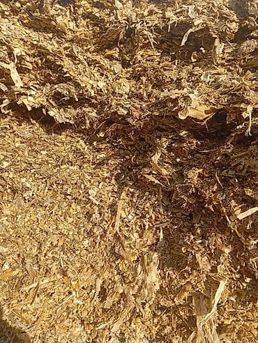 силос сатам: Силос сатылат. качество 100% 7 сом — 2