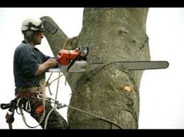 Пилю ДЕРЕВЬЯ (МАСТЕР). Опыт 10 лет. Пилю Дрова Доски Бревна Стволы