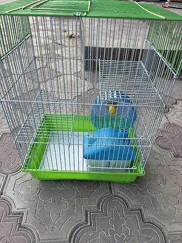 купить клетку для кролика: Клетка для хомяка/декоративных грызунов с комплектом аксессуаров — 1