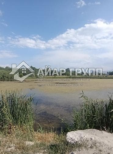 group: ‼️ ПРОДАЁТСЯ ДОМ ПОД ПСО В СЕЛЕ ВОСТОК ‼️ 🔷 Адрес: ул. Береговая 🔷 — 10