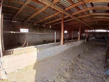 Коммерческая недвижимость: Farm КРС, 18 соток, Электричество — 4