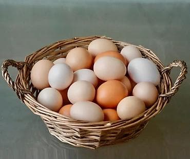 Яйца: Продаю вкусные, свежие и полезные домашние яйца. куриные по 15 сом за — 1
