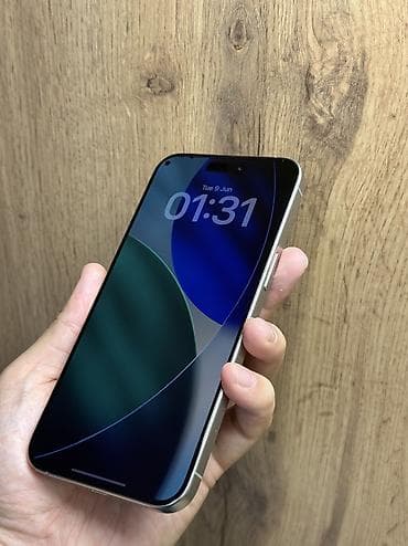 iphone pro max 17: IPhone 15 Pro Max, Б/у, 256 ГБ, Natural Titanium, Защитное стекло, Чехол, 97 % — 6