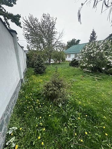 motion designer: Нужен человек кто наведет порядок на участке, скосит газон, прополоть — 2