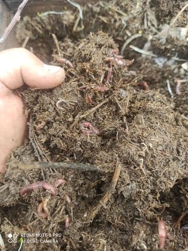 Инструменттер: Жер семирткич — 3