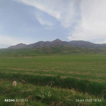 Продажа участков: 6 соток — 2