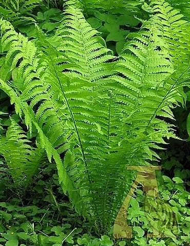 стройител: Дизайн | Дома — 4