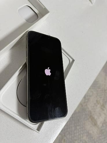 IPhone 15 Pro, Natural Titanium, Коробка
