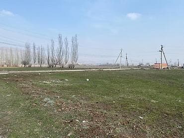 Жер тилкелери: 6 соток, Курулуш, Кызыл китеп — 4