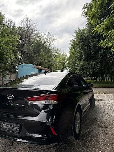 sonata 2004: Hyundai Sonata: 2019 г., 2 л, Автомат, Газ, Седан — 4