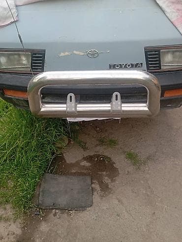 Аксессуарлар жана тюнинг: Кенгуру торлору Toyota — 1