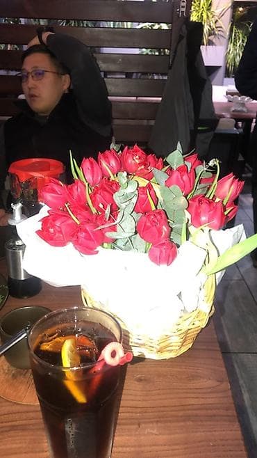 котята сиамские: Шотландская вислоухая кошка (Scottish Fold) - Окрас: серебристый — 5