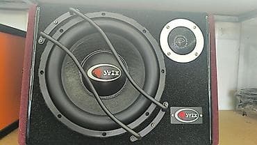 сабвуфер динамик: Активный сабвуфер SUZXC V-10 (10" Active Bass Tube Unit) - Диффузор — 1
